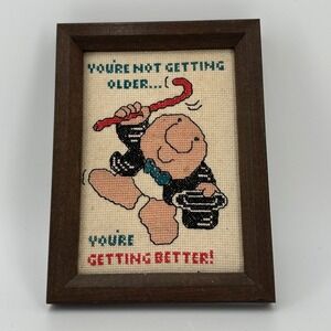 Vintage Cross Stitch Ziggy Frame Wall Art Humor Birthday‎ Gift Zigurat